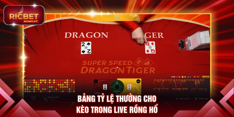 Bảng tỷ lệ thưởng cho kèo trong live Rồng Hổ