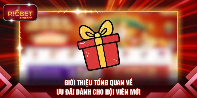 Giới thiệu tổng quan về ưu đãi dành cho hội viên mới